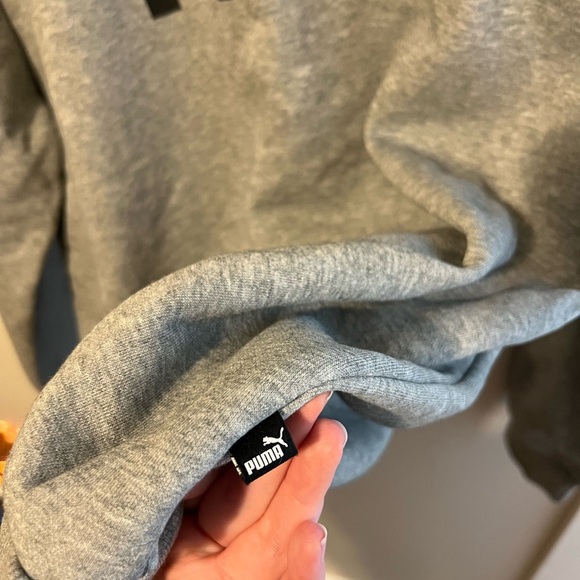 SOLD!❌ - Puma Gray Hoodie - Picture 2 of 4